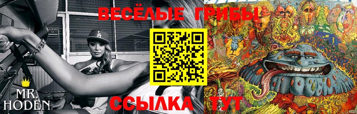 Галлюциногенные грибы Psilocybe  Вход с VPN  сколько стоит  Богородицк 