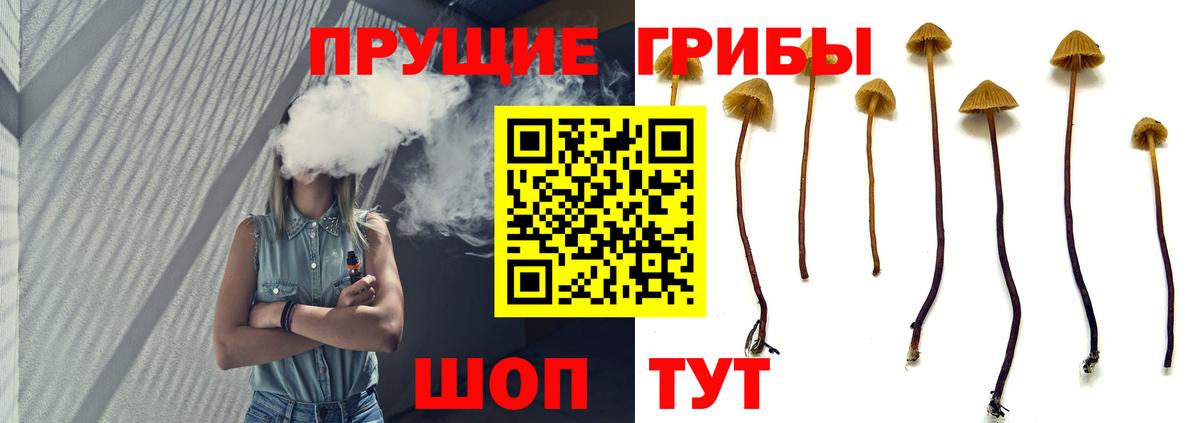Галлюциногенные грибы Psilocybine cubensis Богородицк